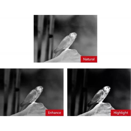 Тепловизионный бинокуляр Guide TN430 400х300, ø35мм, лазерный дальномер в Омске