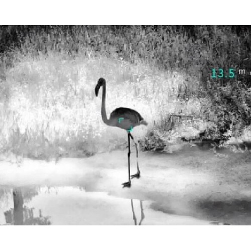 Тепловизионный бинокуляр Guide TN430 400х300, ø35мм, лазерный дальномер в Омске