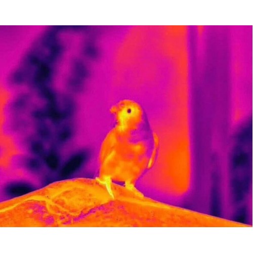 Тепловизионный бинокуляр Guide TN430 400х300, ø35мм, лазерный дальномер в Омске